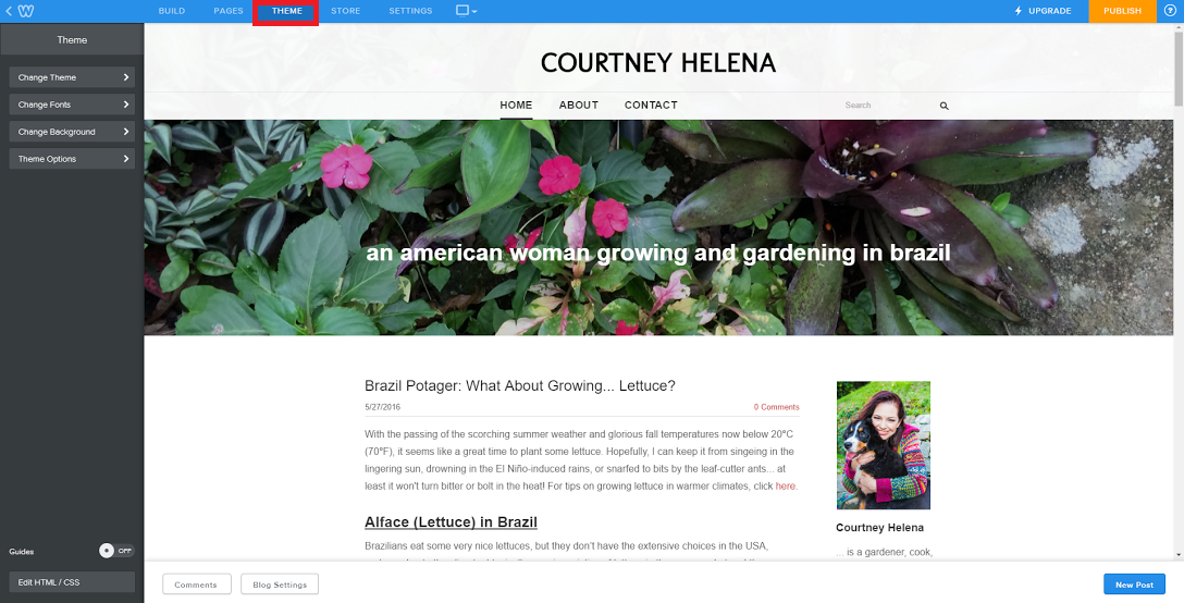 Weebly+theme1.png